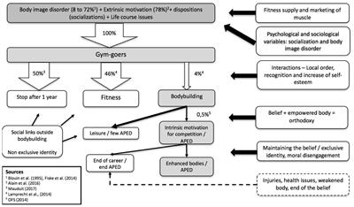 Understanding the Paths to Appearance- and Performance-Enhancing Drug Use in Bodybuilding